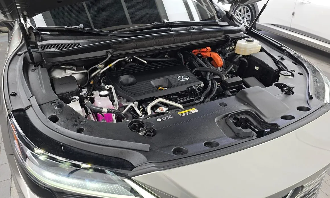 Lexus RX 2024 из KR, фото 6