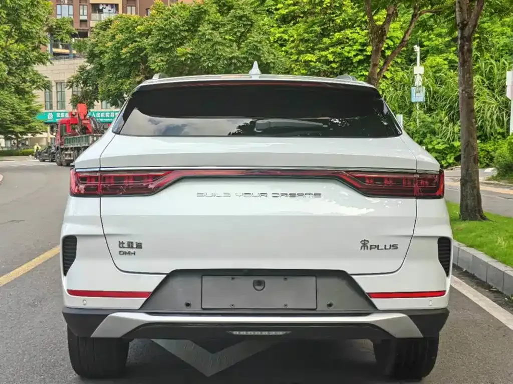 BYD PLUS New Energy — фото 4