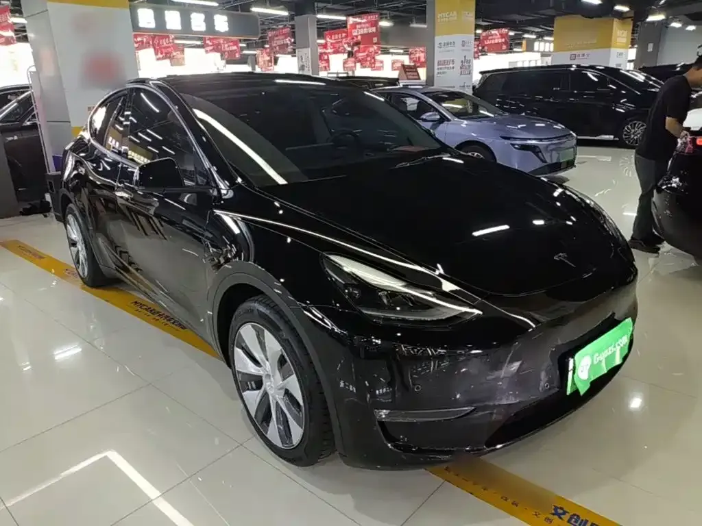 Tesla Model Y — фото 3