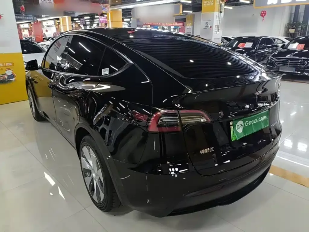 Tesla Model Y — фото 9