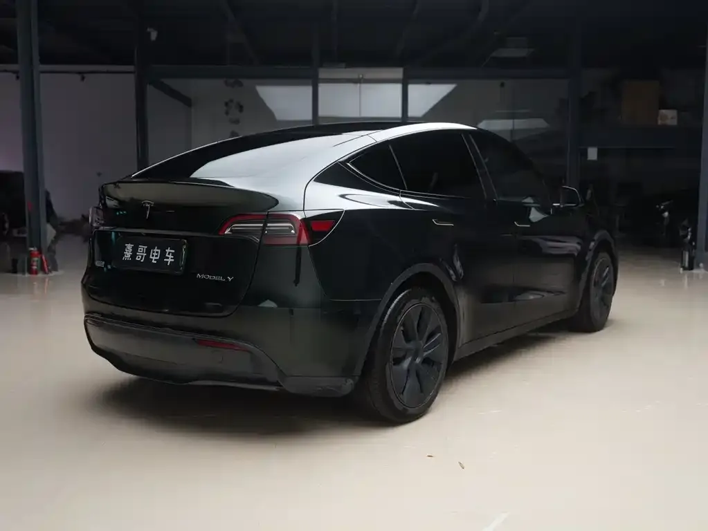 Tesla Model Y — фото 9