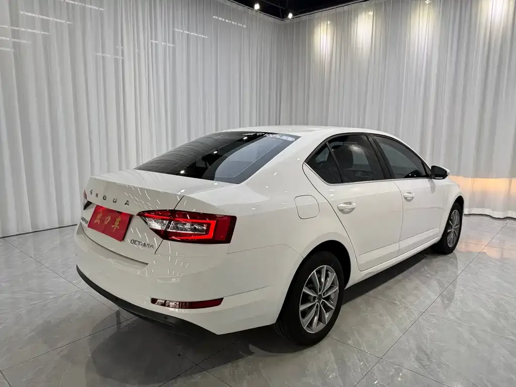 Skoda Octavia 2022 из CN, фото 7