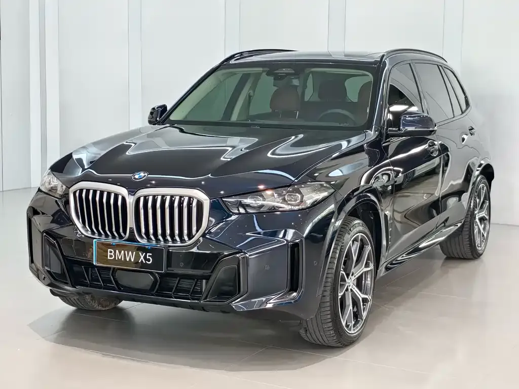 BMW X5 — фото 1