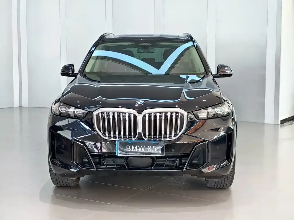 BMW X5 — фото 2