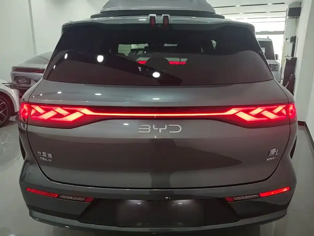 BYD Tang L — фото 2