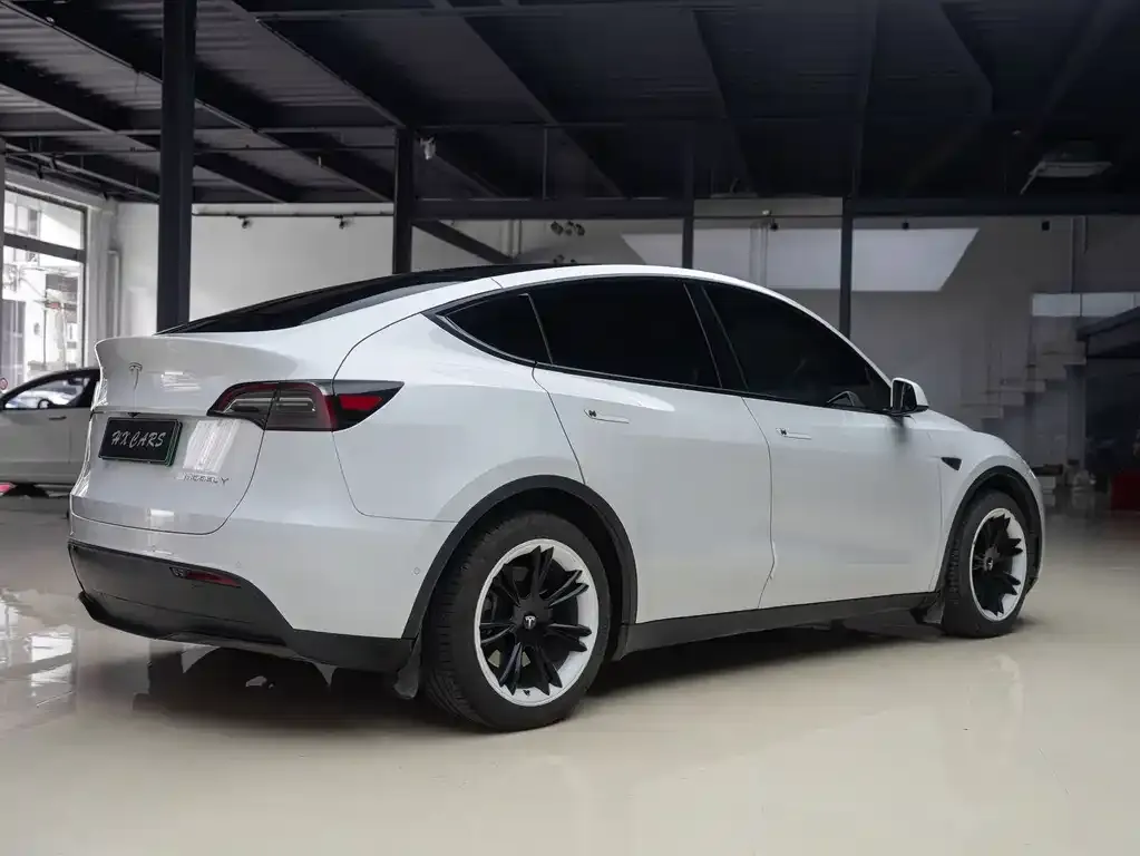 Tesla Model Y — фото 9
