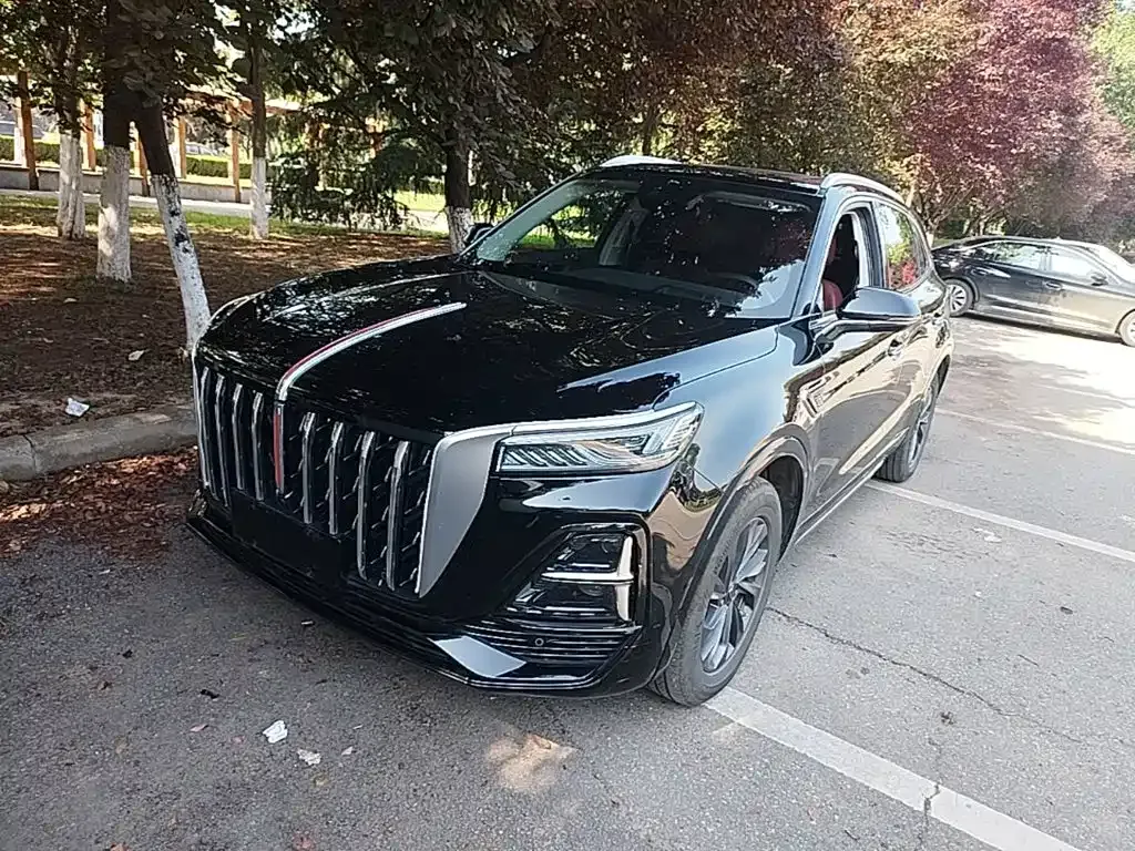 Hongqi HS5 2024 из CN, фото 10