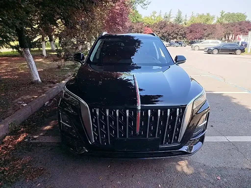 Hongqi HS5 2024 из CN, фото 6