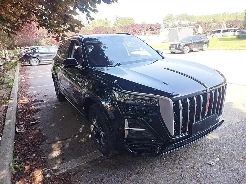 Hongqi HS5 2024 из CN, фото 7