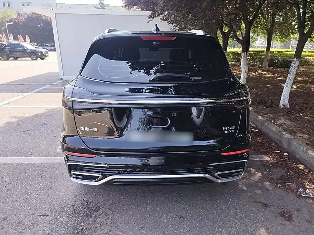Hongqi HS5 2024 из CN, фото 8