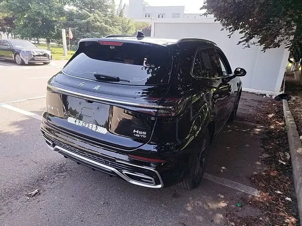 Hongqi HS5 2024 из CN, фото 9