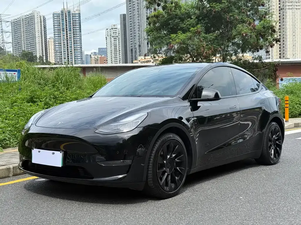 Tesla Model Y — фото 1