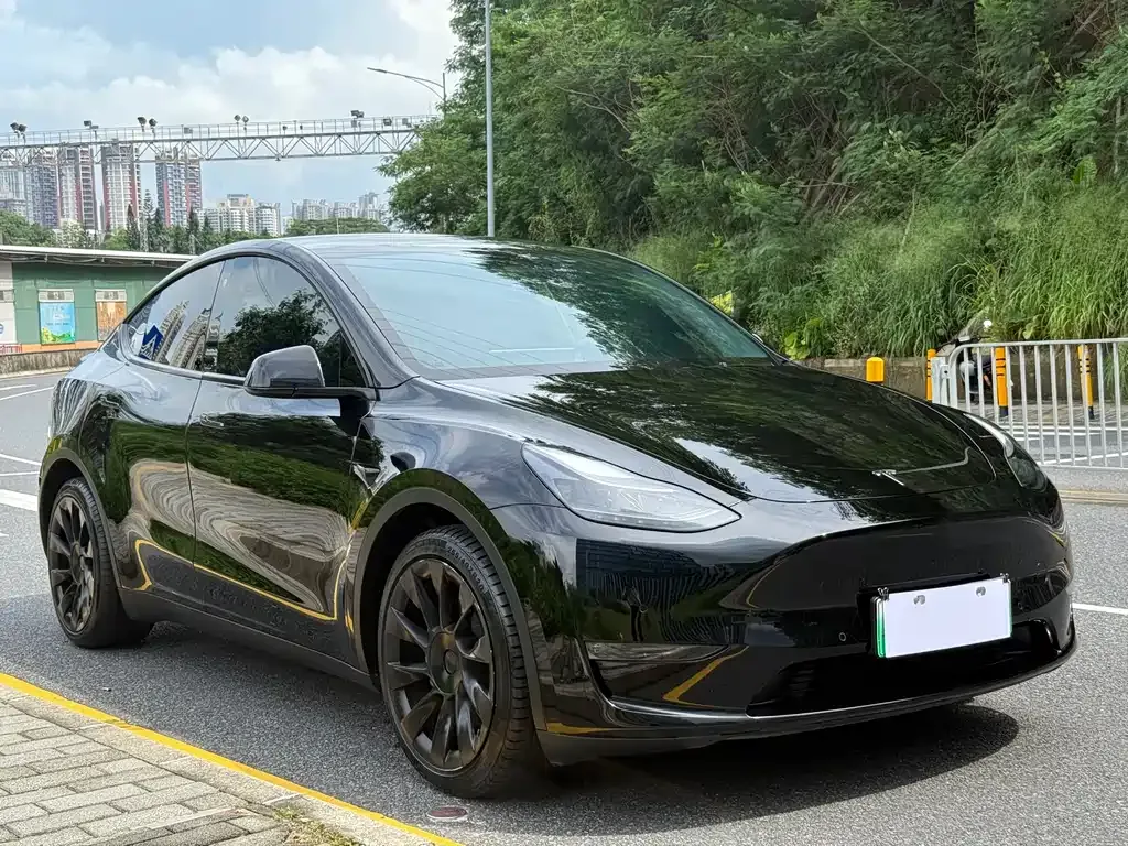 Tesla Model Y — фото 9