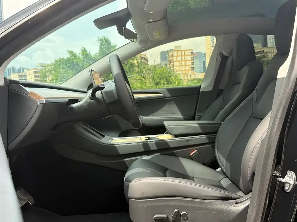 Tesla Model Y — фото 10