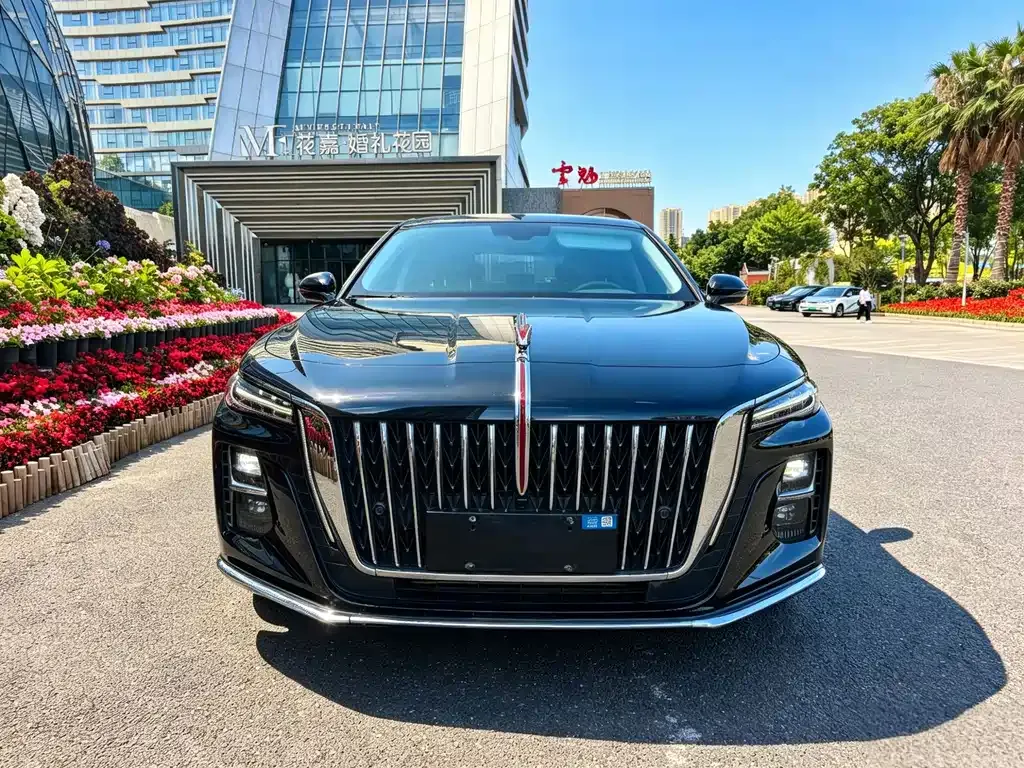 Hongqi H5 2024 из CN, фото 9