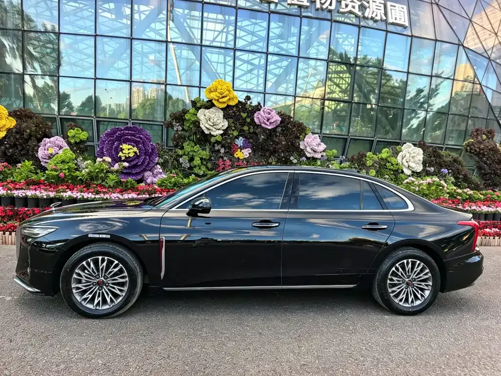 Hongqi H5 2024 из CN, фото 6
