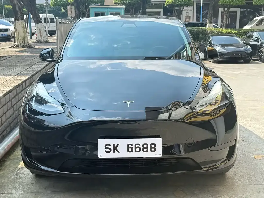 Tesla Model Y — фото 6