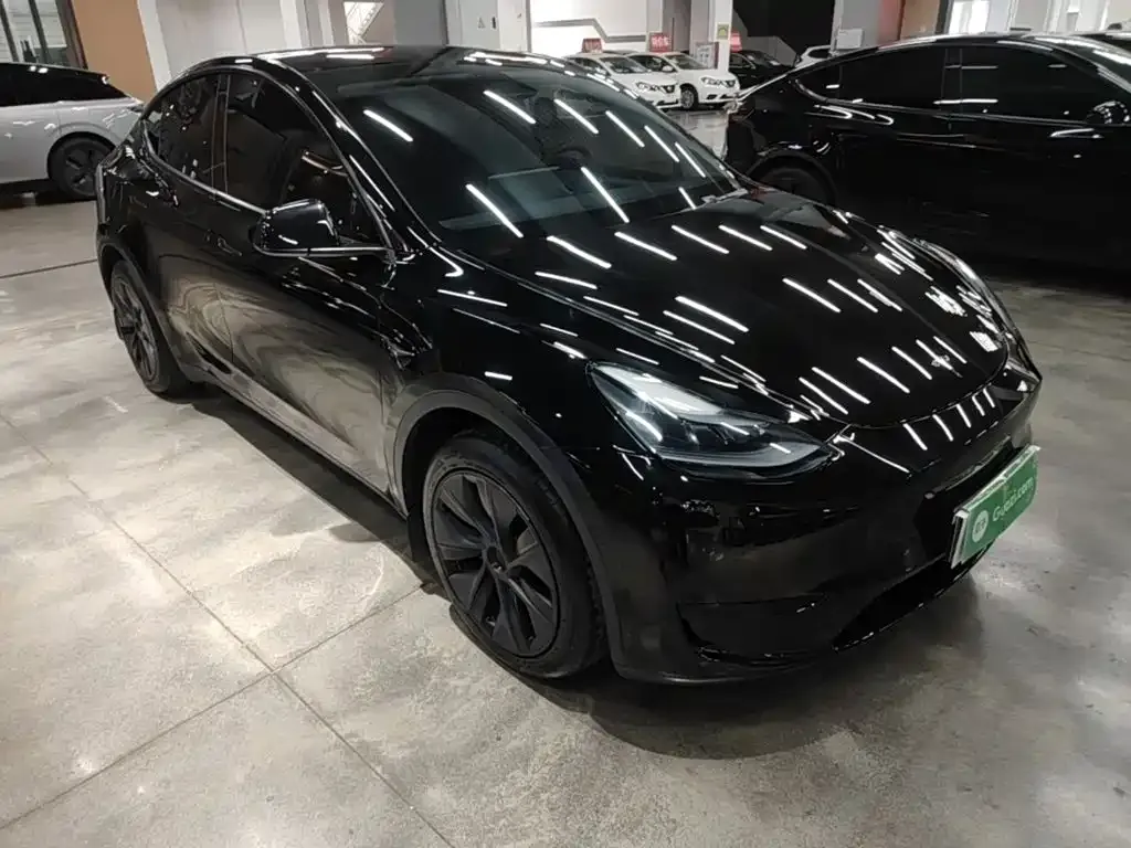 Tesla Model Y — фото 5