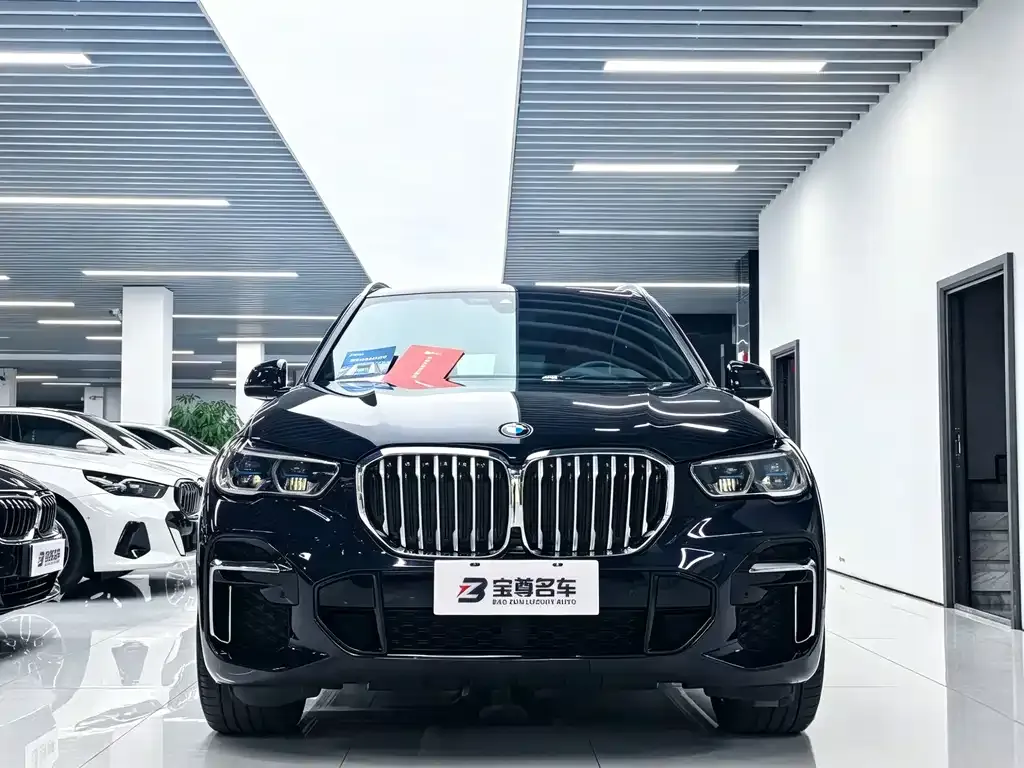 BMW X5 — фото 10