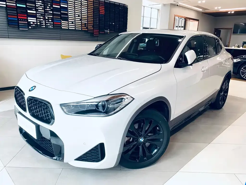 BMW X2 — фото 1