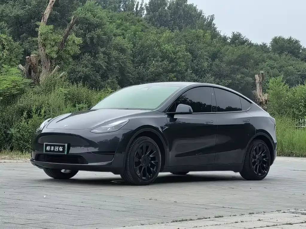 Tesla Model Y — фото 1