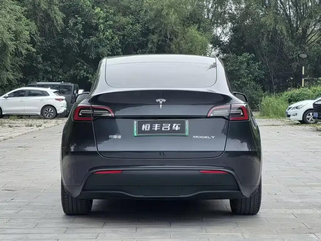 Tesla Model Y — фото 10