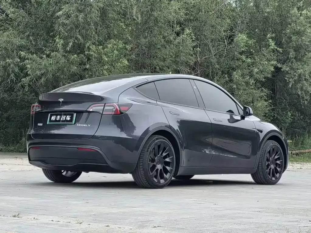 Tesla Model Y — фото 9