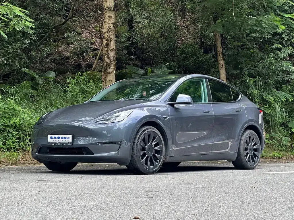 Tesla Model Y — фото 1