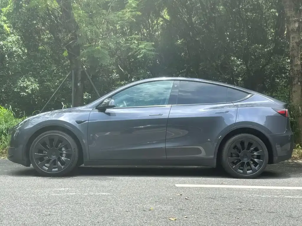 Tesla Model Y — фото 5