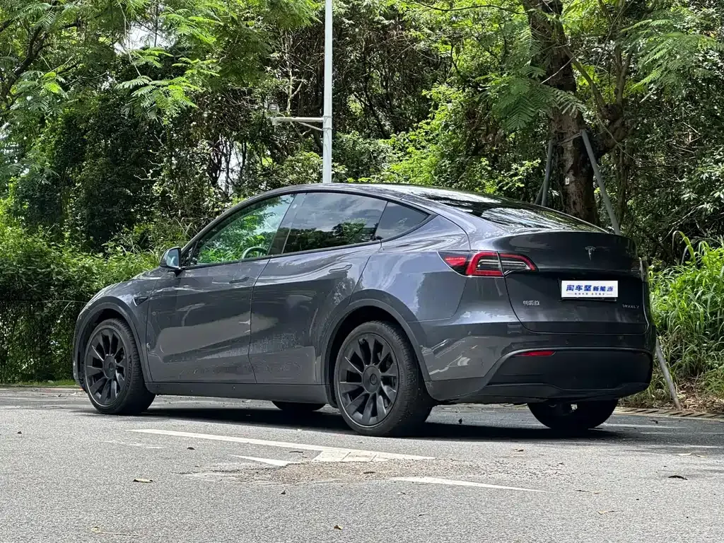 Tesla Model Y — фото 8