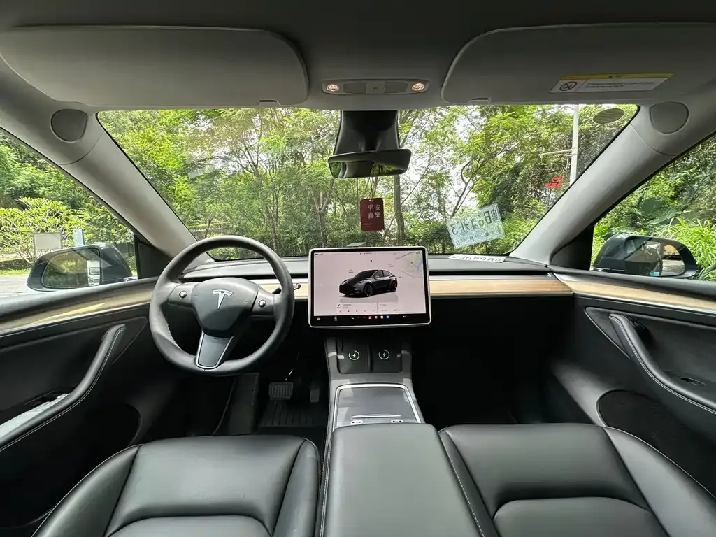 Tesla Model Y — фото 10