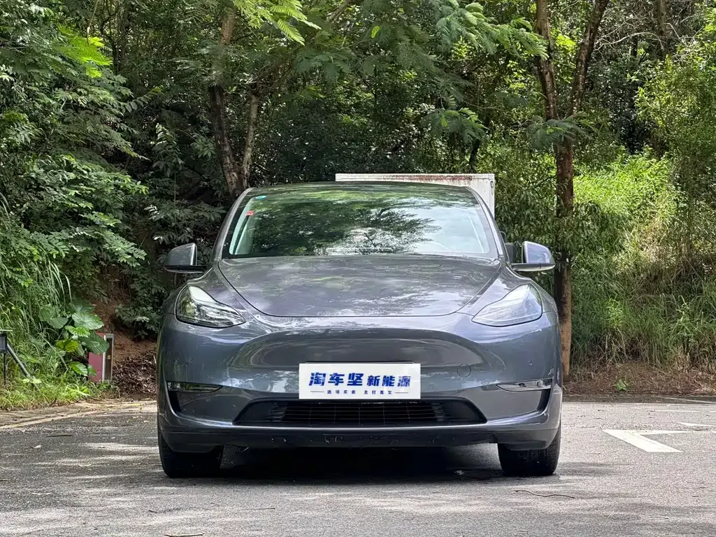 Tesla Model Y — фото 7
