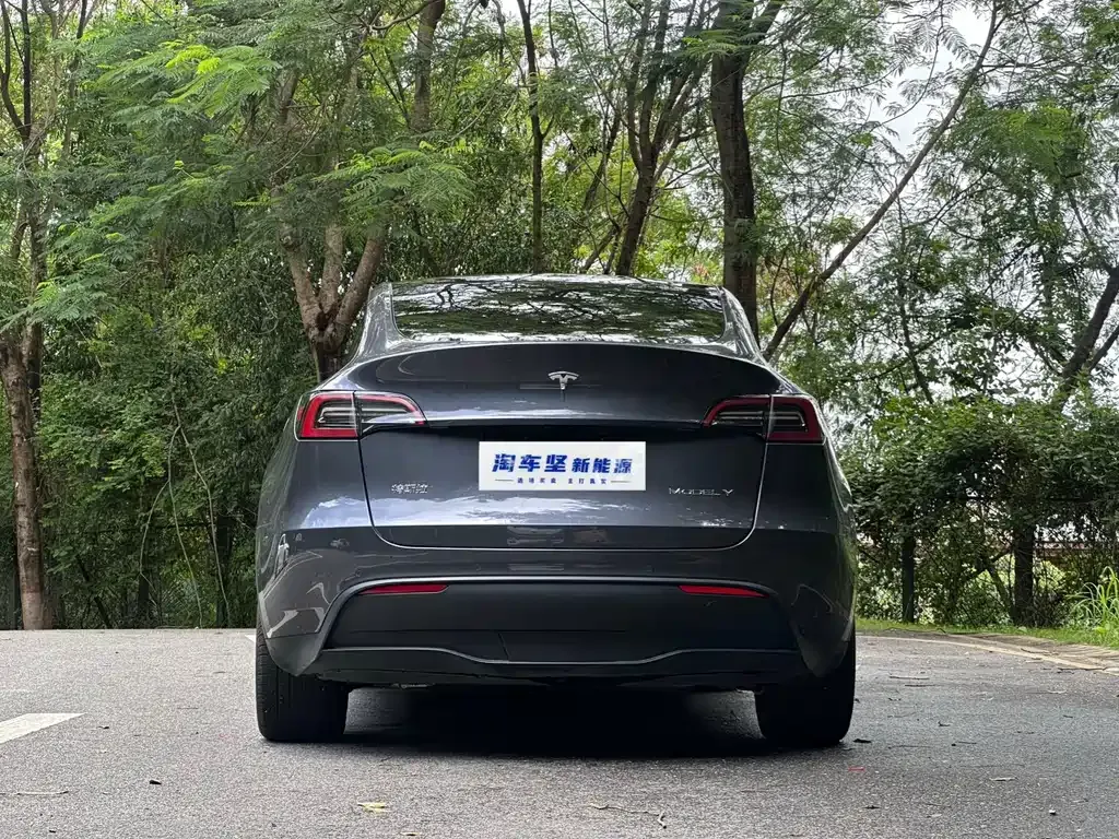 Tesla Model Y — фото 9