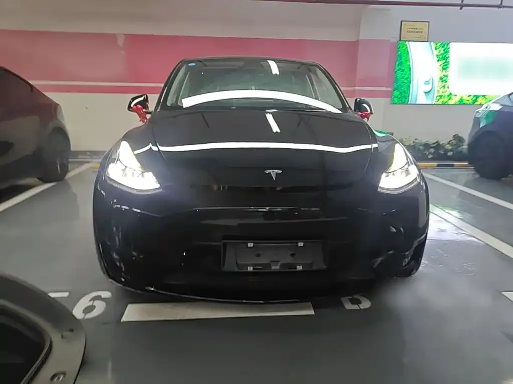 Tesla Model Y — фото 9