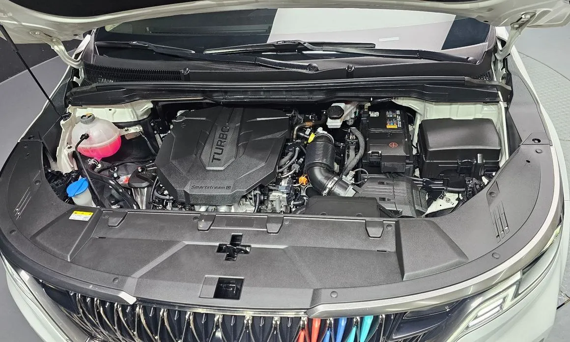 Kia Carnival — фото 10