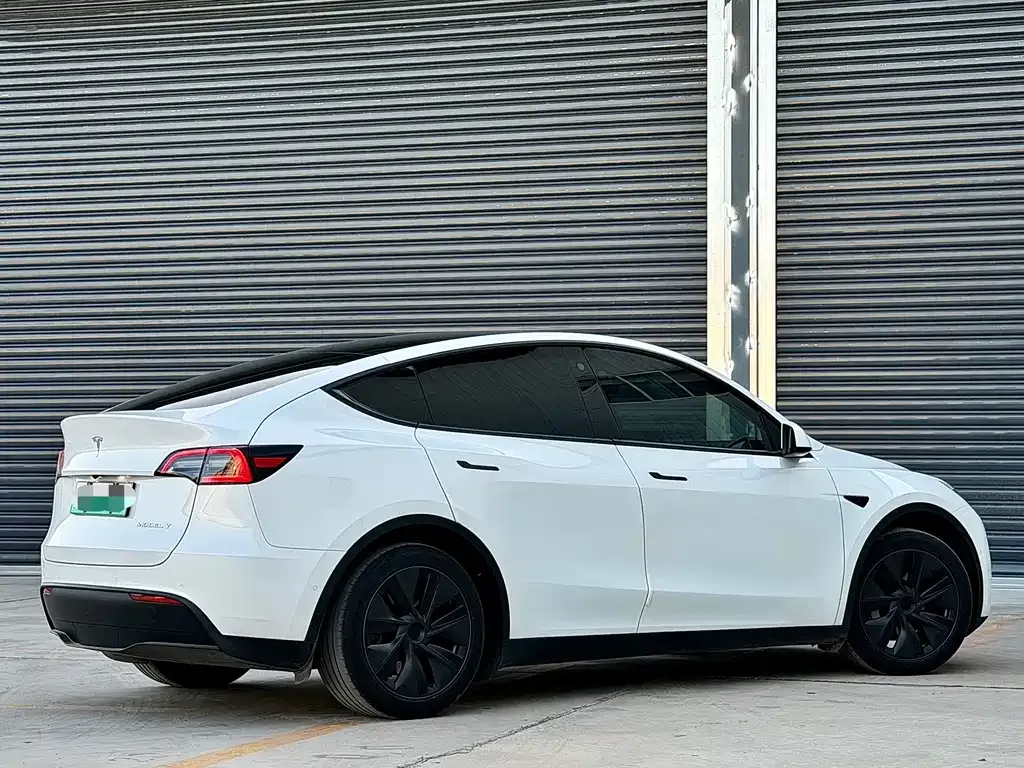 Tesla Model Y — фото 9
