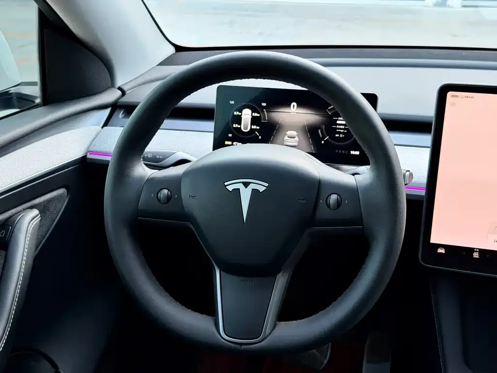 Tesla Model Y — фото 2