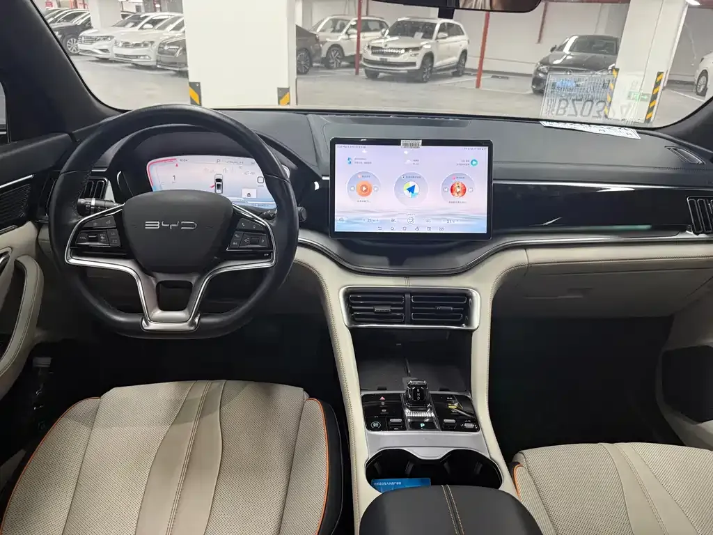 BYD PLUS New Energy 2024 из CN, фото 5