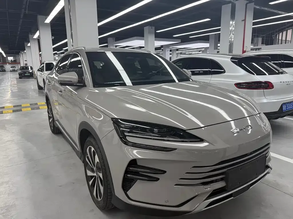 BYD PLUS New Energy 2024 из CN, фото 10