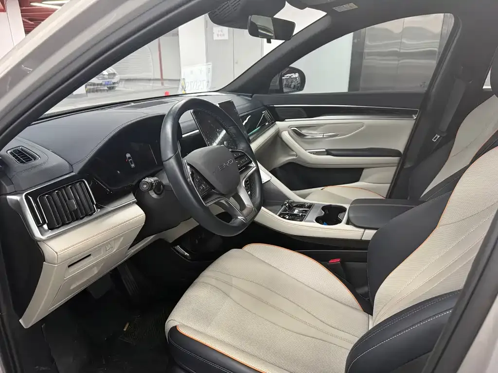 BYD PLUS New Energy 2024 из CN, фото 8