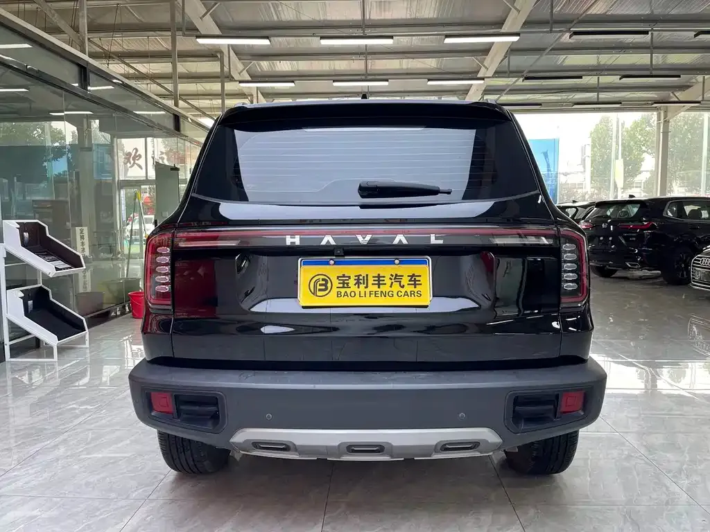 Haval Big Dog 2024 из CN, фото 10