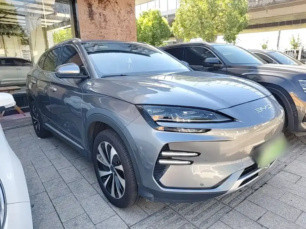 BYD PLUS New Energy — фото 10