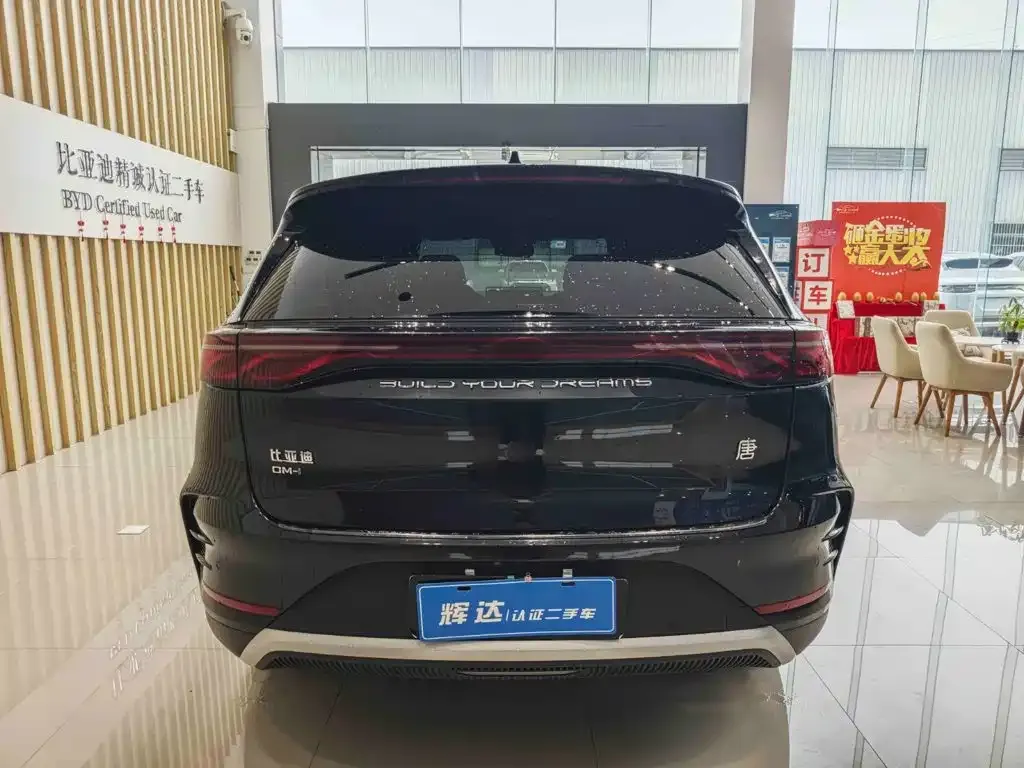 BYD Tang New Energy — фото 2