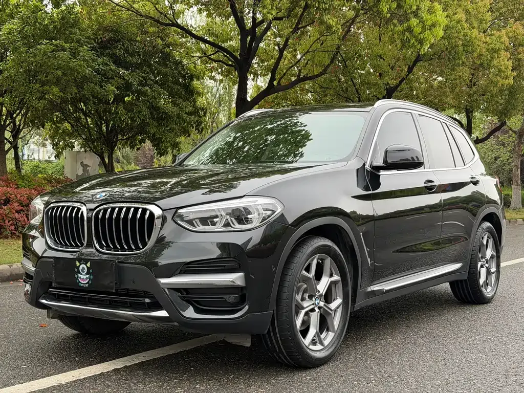 BMW X3 xDrive28i Luxury 1