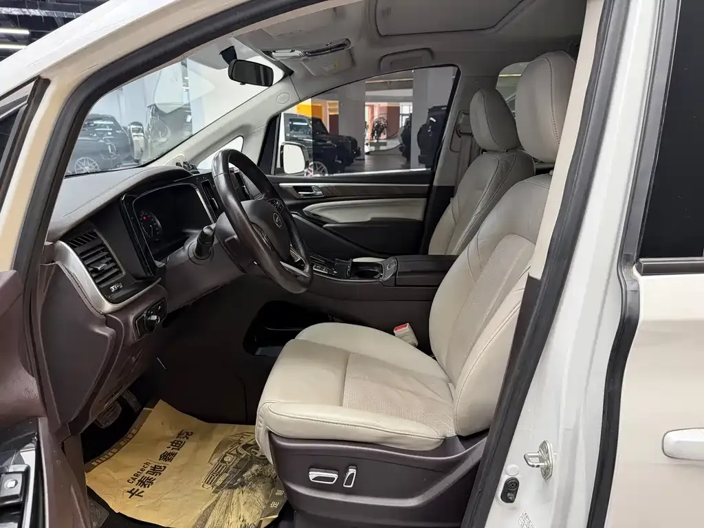 GAC Motor Trumpchi M8 2023 из CN, фото 10
