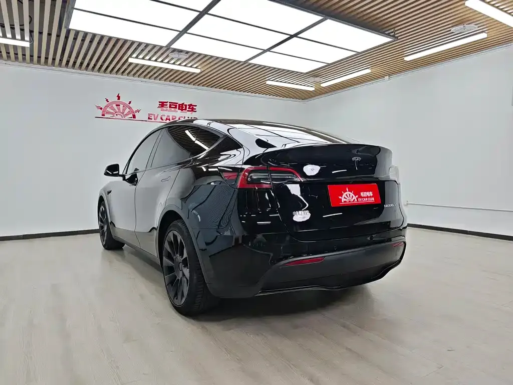 Tesla Model Y — фото 10