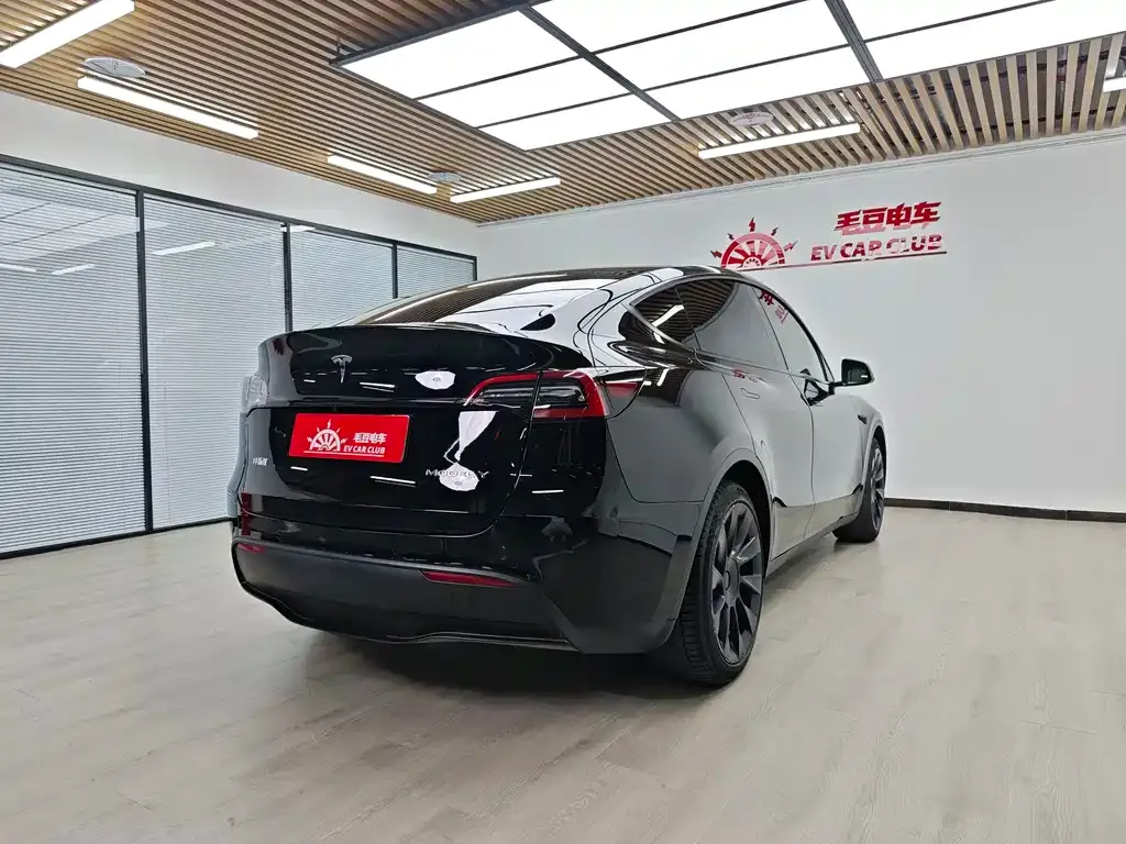 Tesla Model Y — фото 3