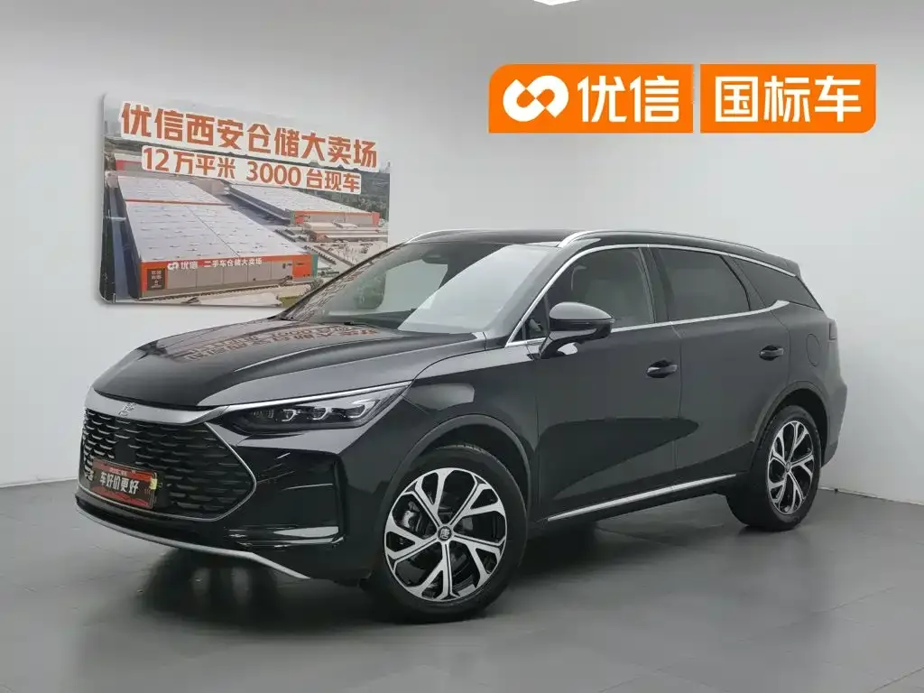 BYD Tang New Energy — фото 1
