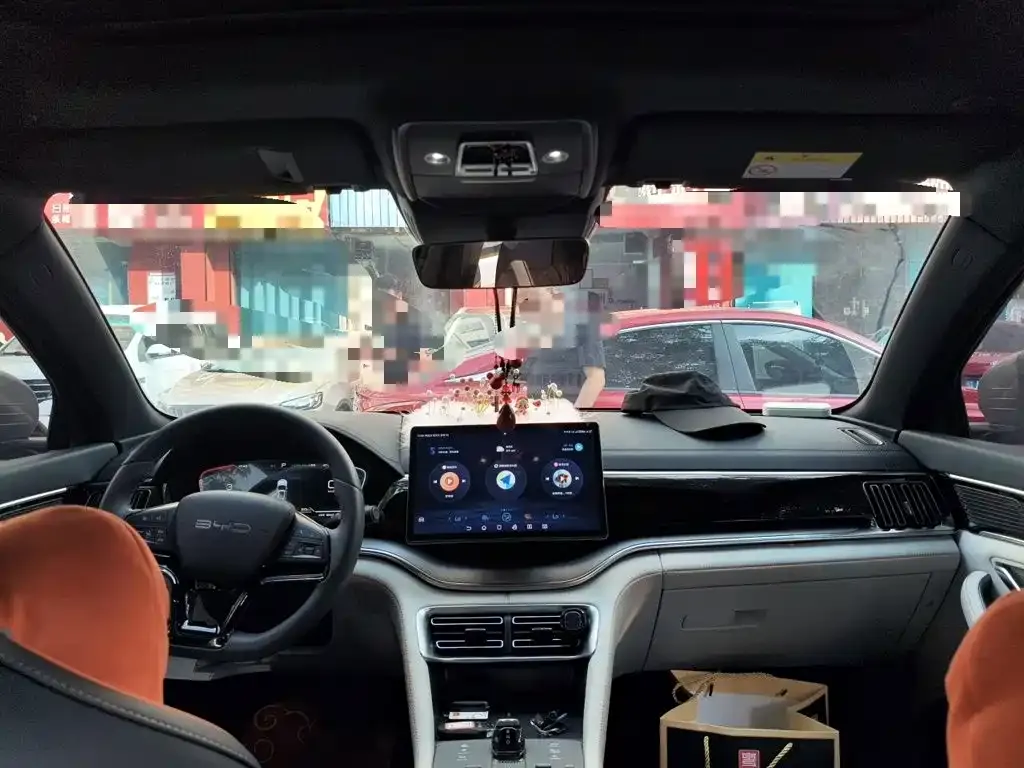 BYD PLUS New Energy — фото 10
