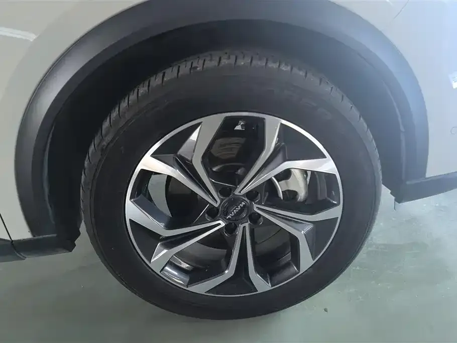 Haval Xiaolong MAX 2025 из CN, фото 5